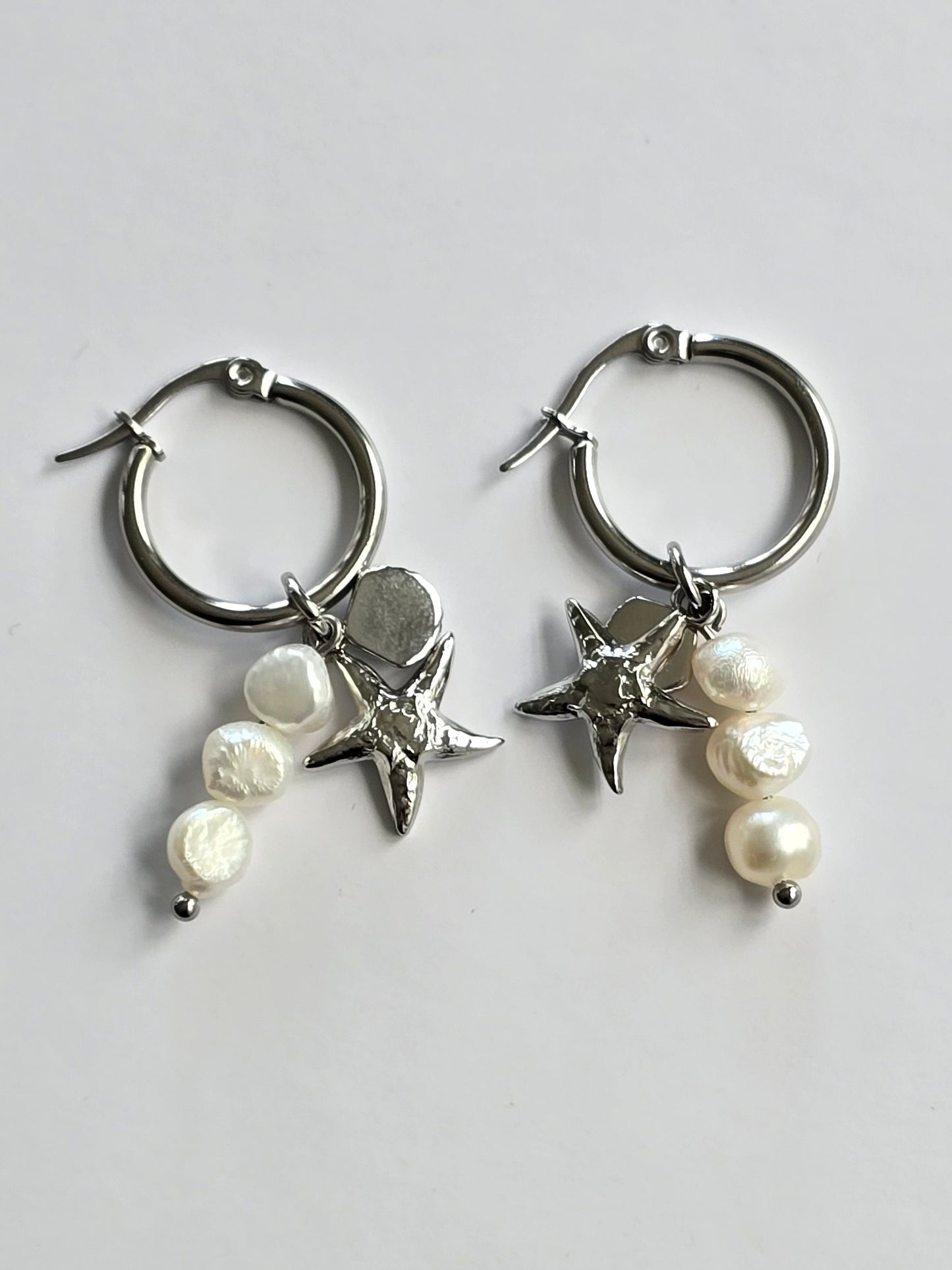 Playa Silver Earrings